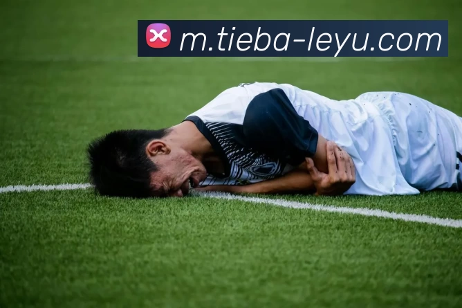乐鱼体育平台生态图